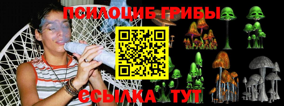 Симферополь  закладки  Псилоцибиновые грибы Cubensis  Вход с VPN  Псилоцибиновые грибы Magic Shrooms 